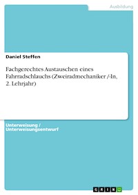 Fachgerechtes Austauschen eines Fahrradschlauchs (Zweiradmechaniker /-In, 2. Lehrjahr) - Daniel Steffen - E-Book