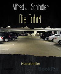 Die Fahrt - Alfred J. Schindler - E-Book