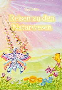 Reisen zu den Naturwesen - Birgit Mills - E-Book