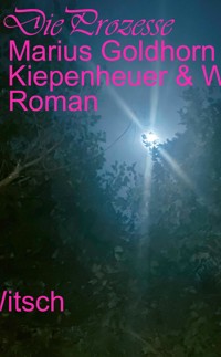 Die Prozesse - Marius Goldhorn - E-Book