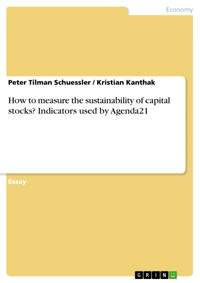 How to measure the sustainability of capital stocks? Indicators used by Agenda21 - Peter Tilman Schuessler - E-Book