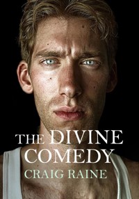 The Divine Comedy - Craig Raine - E-Book