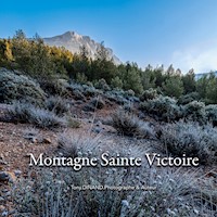 Montagne Sainte Victoire - Chroniques 2022 - Tony Dinand - E-Book