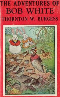 The Adventures of Bob White - Thornton W. Burgess - E-Book