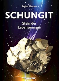 Schungit - Stein der Lebensenergie - Regina Martino - E-Book