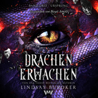 Drachen erwachen 3 - das Fantasy Hörbuch - Lindsay Buroker - Hörbuch