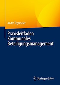Praxisleitfaden Kommunales Beteiligungsmanagement - André Tegtmeier - E-Book
