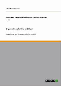 Organisation als Hilfe und Fluch - Alfons Maria Schmidt - E-Book