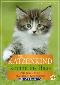 Ein Katzenkind kommt ins Haus - Susanne Vorbrich - E-Book