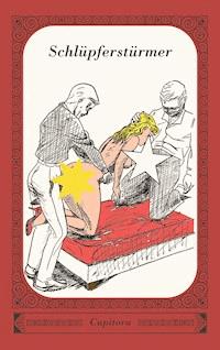 Schlüpferstürmer - Anonym - E-Book