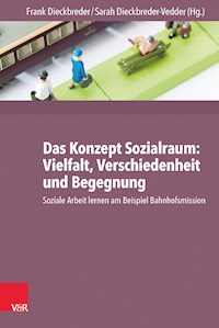 Das Konzept Sozialraum: Vielfalt, Verschiedenheit und Begegnung -  - E-Book