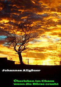 Überleben im Chaos wenn die Börse crasht - Johannes Allgäuer - E-Book