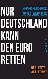 Nur Deutschland kann den Euro retten - Heiner Flassbeck - E-Book