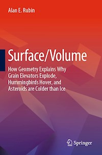 Surface/Volume - Alan E. Rubin - E-Book