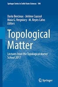 Topological Matter -  - E-Book
