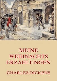 Meine Weihnachtserzählungen - Charles Dickens - E-Book