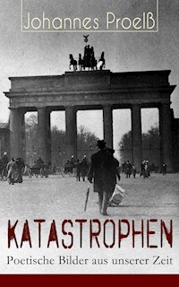 Katastrophen - Poetische Bilder aus unserer Zeit - Johannes Proelß - E-Book