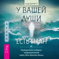 У вашей души есть план. - Лиза Барнетт - Hörbuch