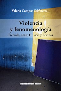 Violencia y fenomenología - Valeria Campos Salvaterra - E-Book