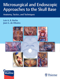 Microsurgical and Endoscopic Approaches to the Skull Base - Luis Borba - E-Book