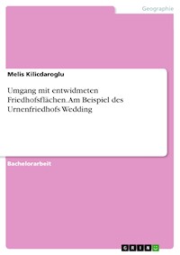 Umgang mit entwidmeten Friedhofsflächen. Am Beispiel des Urnenfriedhofs Wedding - Melis Kilicdaroglu - E-Book