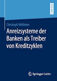 Anreizsysteme der Banken als Treiber von Kreditzyklen - Christoph Mölleken - E-Book