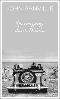 Spaziergänge durch Dublin - John Banville - E-Book