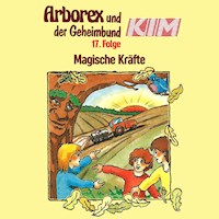 17: Magische Kräfte - Fritz Hellmann - Hörbuch