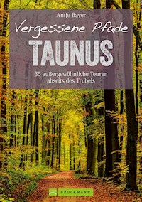 Wanderführer Taunus: 35 Touren abseits des Trubels im wunderschönen Taunus - Antje Bayer - E-Book