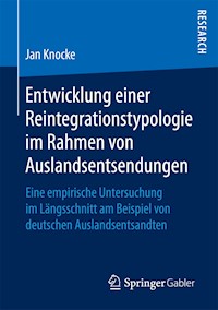 Entwicklung einer Reintegrationstypologie im Rahmen von Auslandsentsendungen - Jan Knocke - E-Book