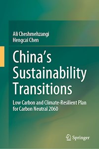China's Sustainability Transitions - Ali Cheshmehzangi - E-Book