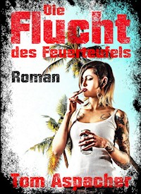 Die Flucht des Feuerteufels - Tom Aspacher - E-Book