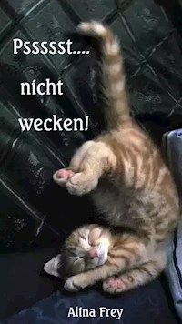 Psssst... nicht wecken! - Alina Frey - E-Book