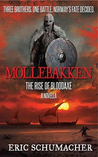 Mollebakken - Eric Schumacher - E-Book
