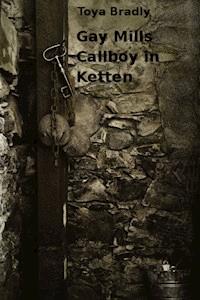 Gay Mills - Toya Bradly - E-Book