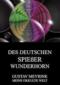Des deutschen Spiessers Wunderhorn - Gustav Meyrink - E-Book