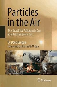 Particles in the Air - Doug Brugge - E-Book