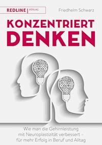 Konzentriert denken - Friedhelm Schwarz - E-Book