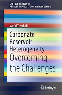 Carbonate Reservoir Heterogeneity - Vahid Tavakoli - E-Book
