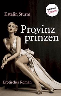 Provinzprinzen - Katalin Sturm - E-Book