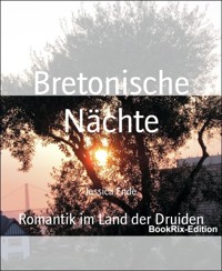 Bretonische Nächte - Jessica Ende - E-Book