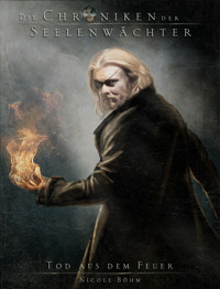 Die Chroniken der Seelenwächter - Band 7: Tod aus dem Feuer - Nicole Böhm - E-Book