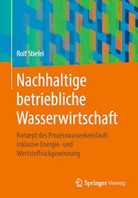 Nachhaltige betriebliche Wasserwirtschaft - Rolf Stiefel - E-Book