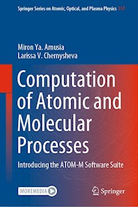 Computation of Atomic and Molecular Processes - Miron Ya. Amusia - E-Book