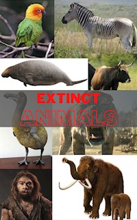 Extinct Animals - Murray Liam - E-Book