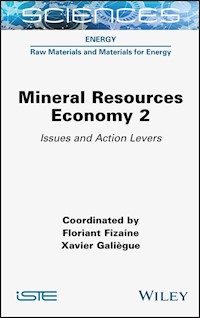 Mineral Resource Economy 2 -  - E-Book