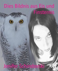 Dies Bildnis aus Eis und Finsternis - Jenifer Schindovski - kostenlos E-Book