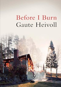 Before I Burn - Gaute Heivoll - E-Book