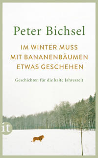 Im Winter muss mit Bananenbäumen etwas geschehen - Peter Bichsel - E-Book