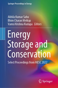 Energy Storage and Conservation - - E-Book